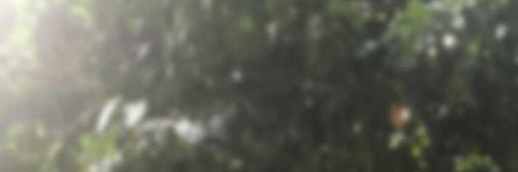 agulacti17's profile banner image