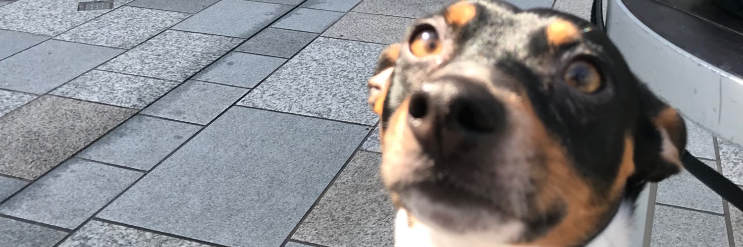 graaceephillips's profile banner image