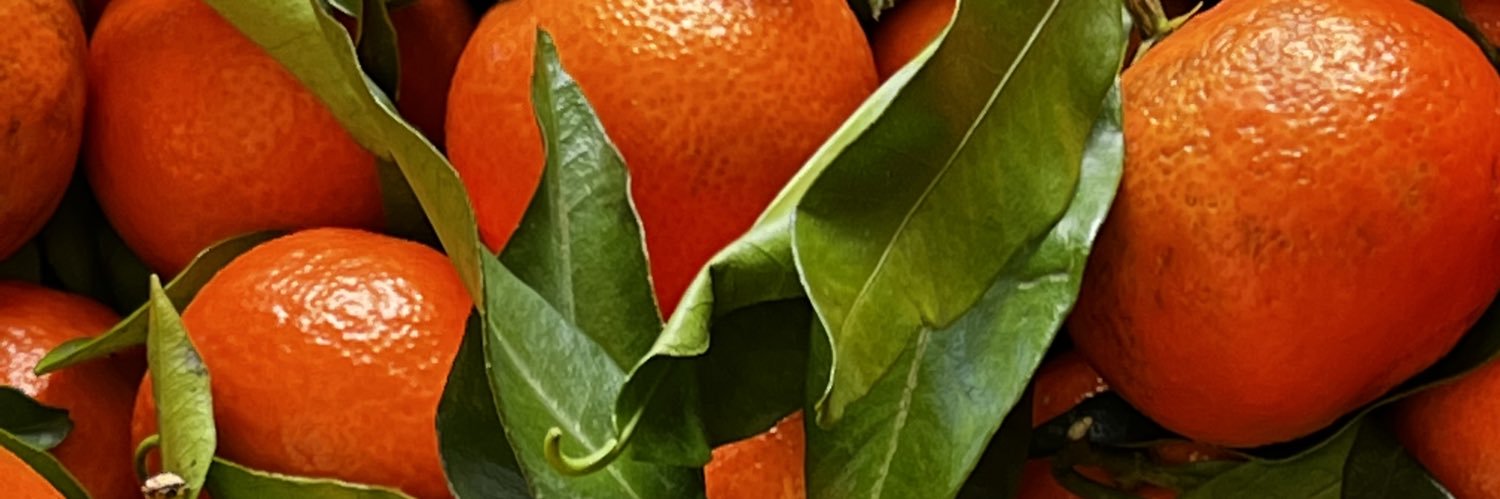 EstinKelly's profile banner image