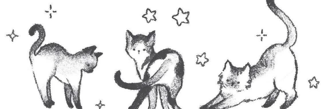 Nat banner