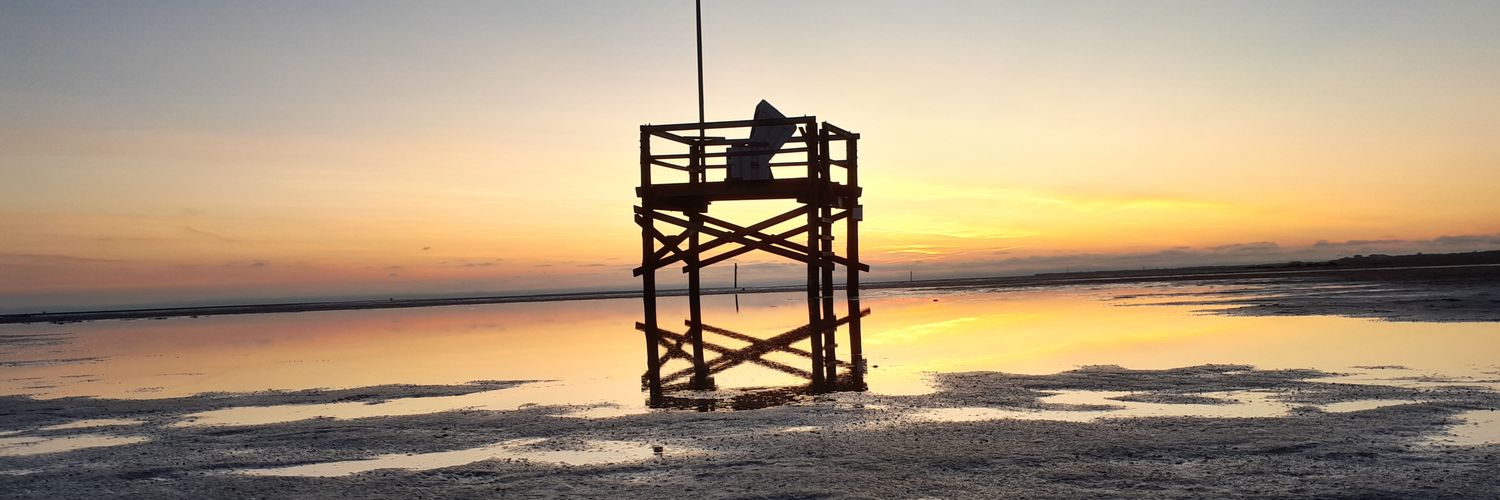 __DelMar__'s profile banner image