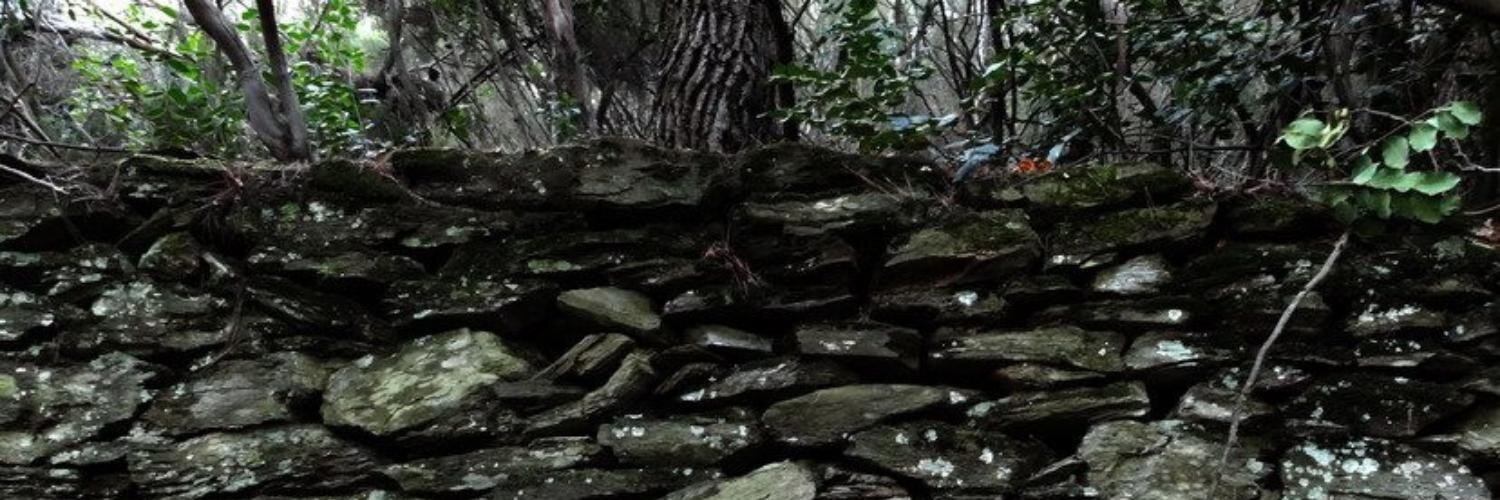 barakasin's profile banner image