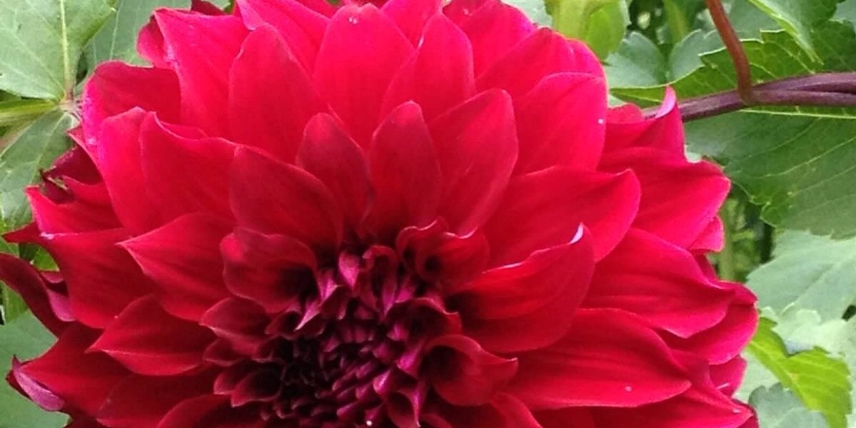 ms_grinham's profile banner image