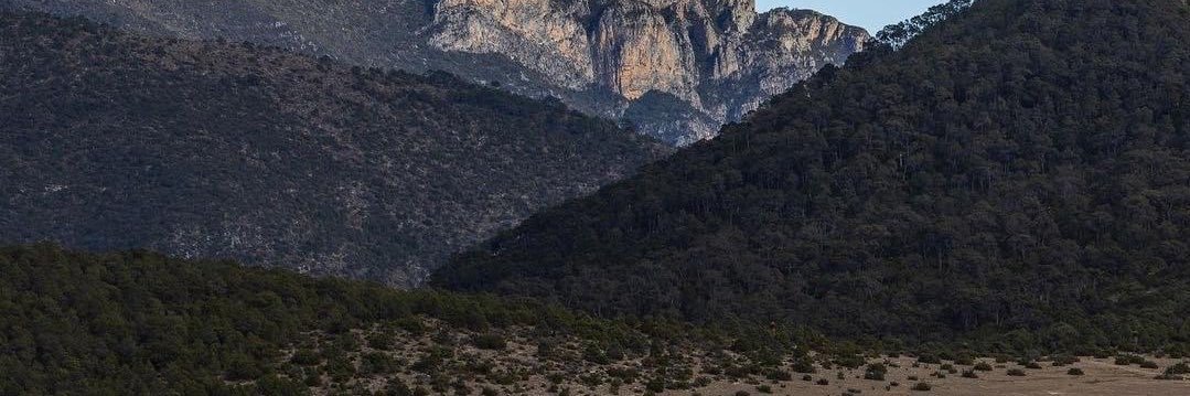 stephaniepj's profile banner image