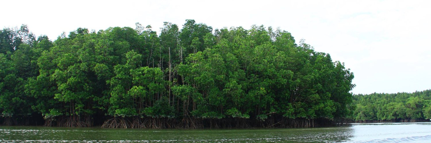 Wetlands International MY banner