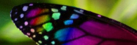 Marigaby009's profile banner image