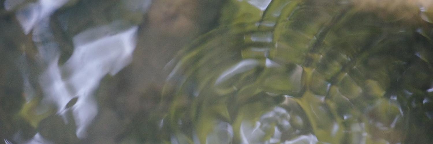 WindCityCloud's profile banner image