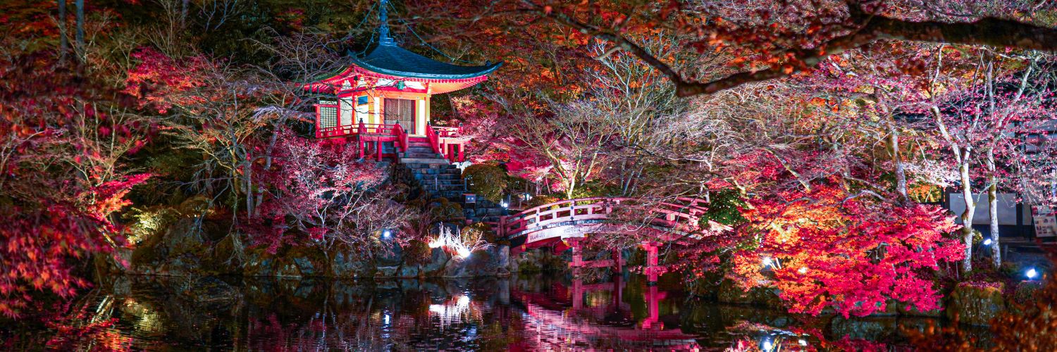 ryoida0222's profile banner image