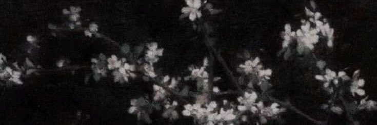 aevthecoolest's profile banner image