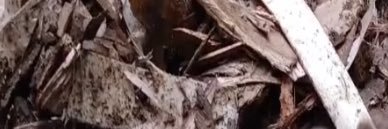 BeardMonstr's profile banner image
