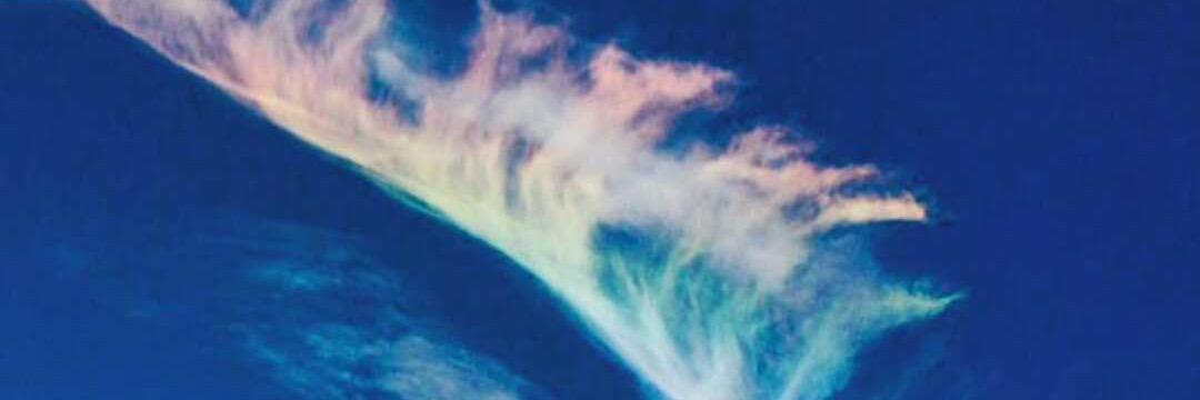 Liz_Frissell's profile banner image
