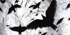 hiddenalteregos's profile banner image