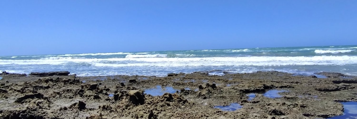 Perla Peralta banner