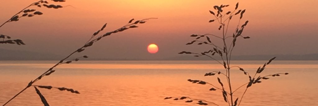 nova078's profile banner image