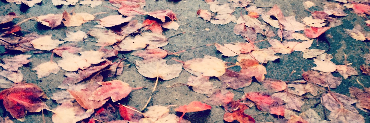 Kameel Stanley banner