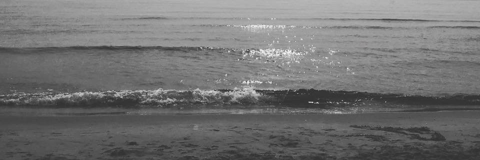 Realbeachboyr's profile banner image