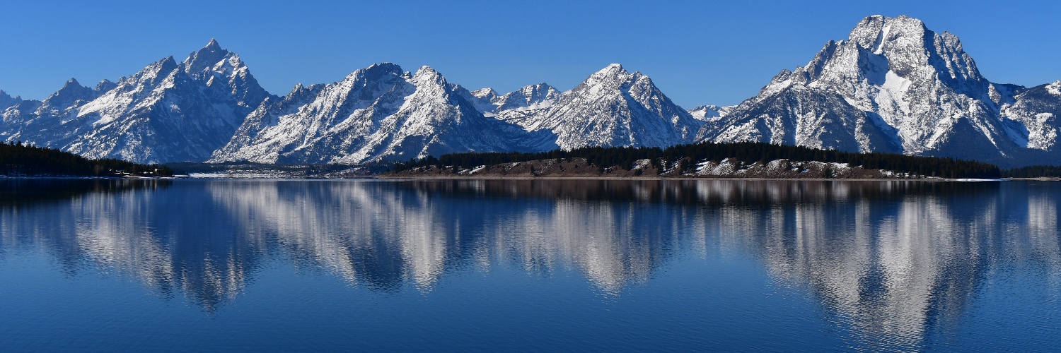 Adam Brzeczek banner