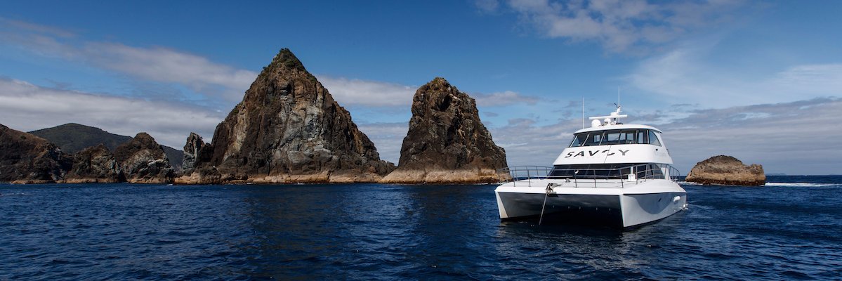 savoycharters's profile banner image