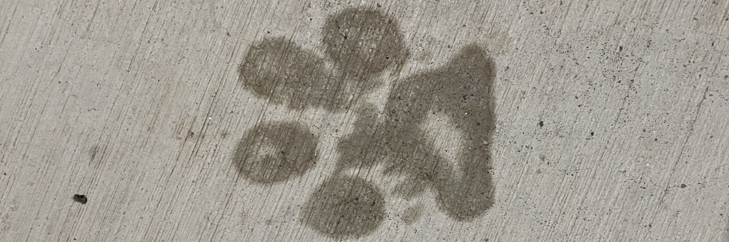 ls_lando's profile banner image
