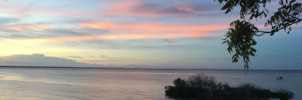 S. banner