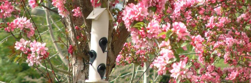 Sue Redmond Maloco banner