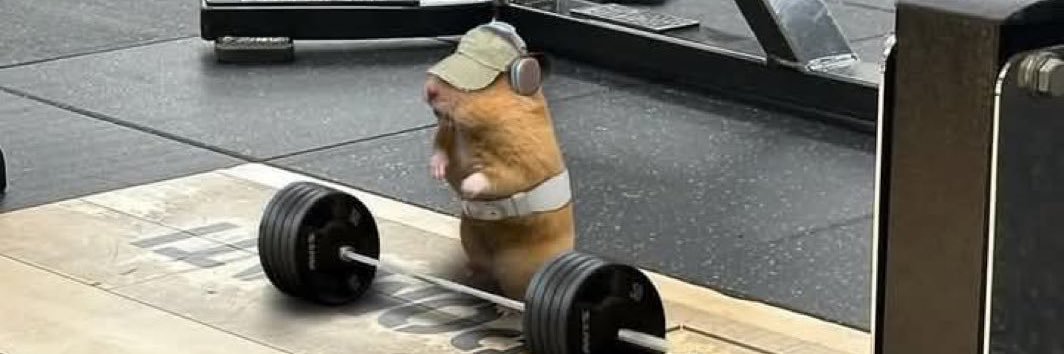 MyPerseverance banner