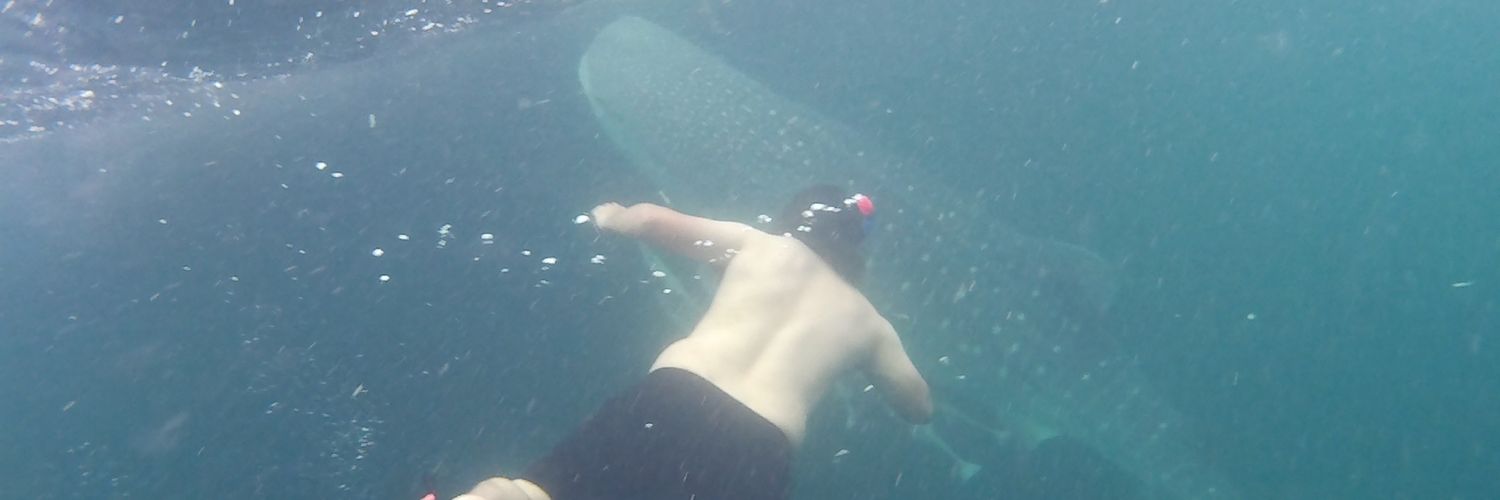 EM 1️⃣9️⃣🏆🇮🇹 banner