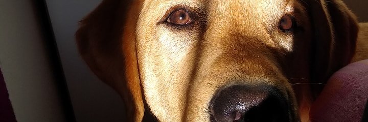 Amorsbbom_'s profile banner image
