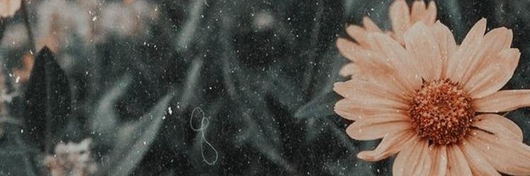 Carchu 🇦🇷⭐⭐⭐ banner