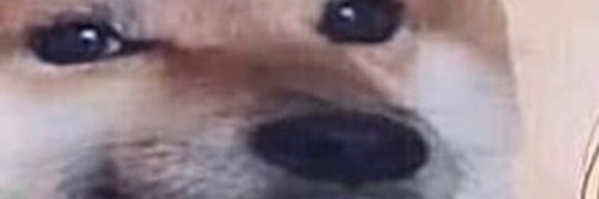 HicDicPic, Deeg Lover⚰️🐏 banner