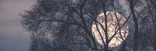 ferchuestrada2's profile banner image