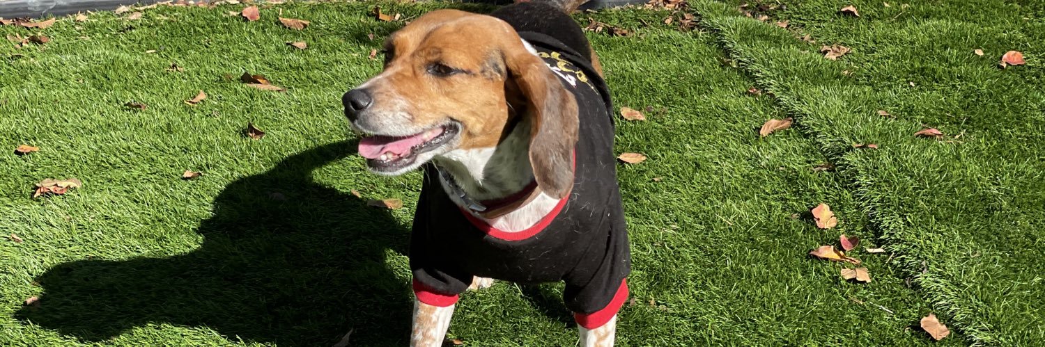 Ruffin Antuña banner