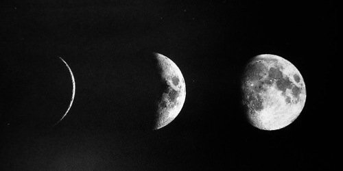 BRIANNAcometti's profile banner image