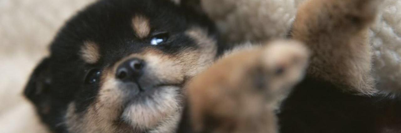 veryjerryberry's profile banner image
