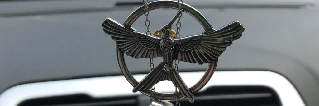 cjccochran's profile banner image