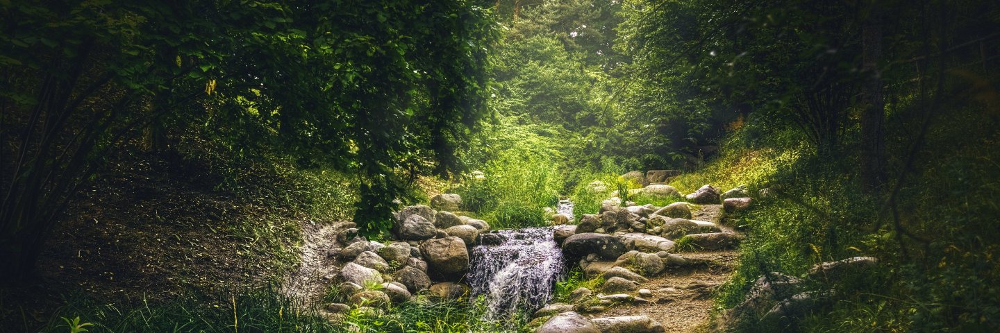 Tanja_Balashov's profile banner image