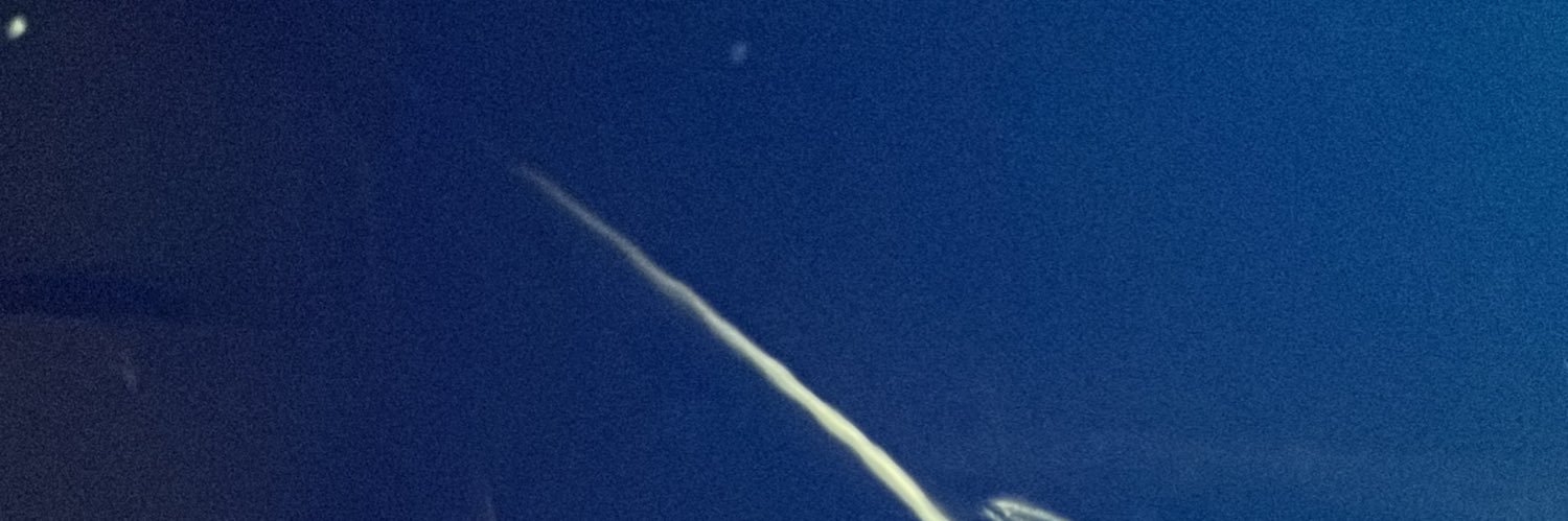 downeybug's profile banner image