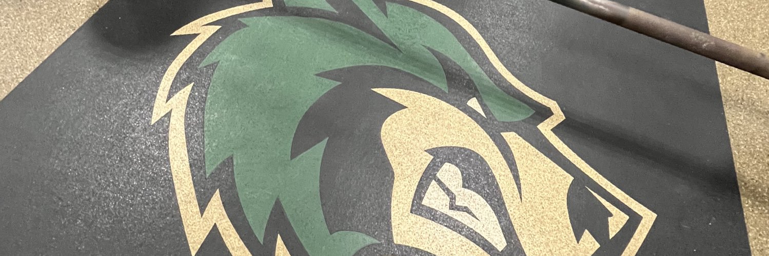 Matt Silva banner