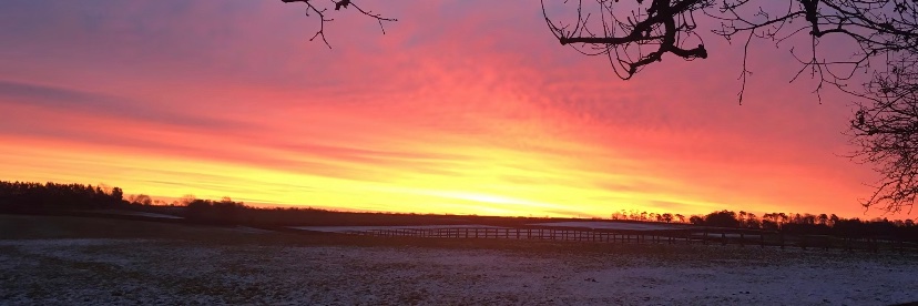 Simon Gregory banner