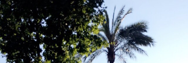 bethtileyxo's profile banner image