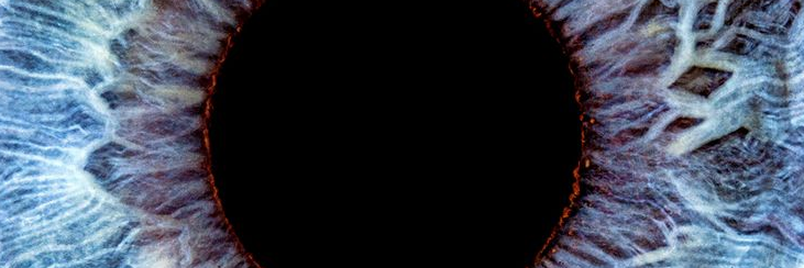 Irma Wilson banner