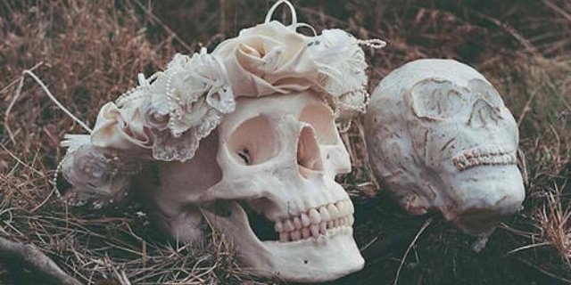 sashamonroe8's profile banner image