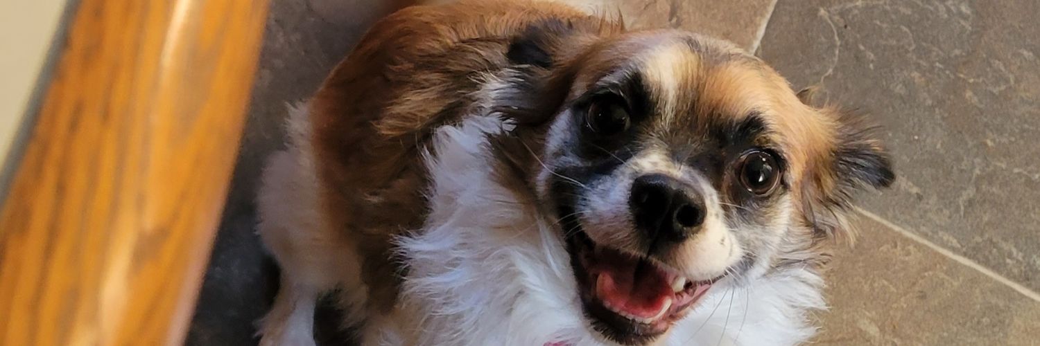 StraightGhoulin's profile banner image