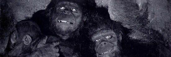 spacemonkey95's profile banner image