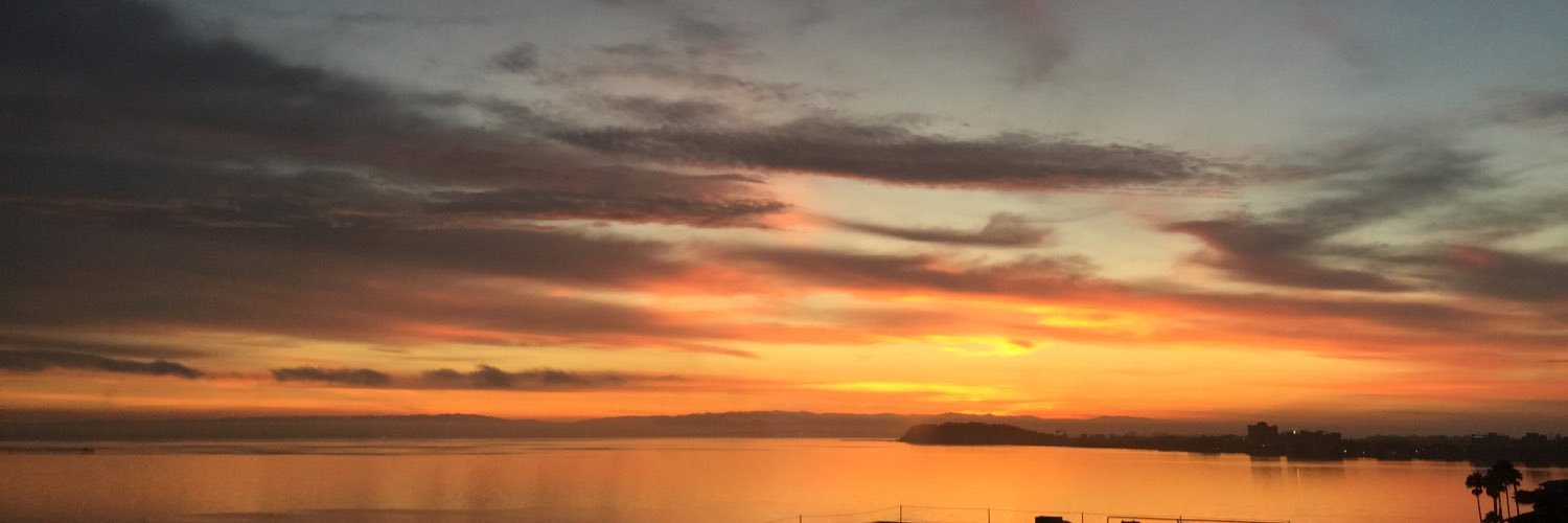 Sandeep Pulim banner