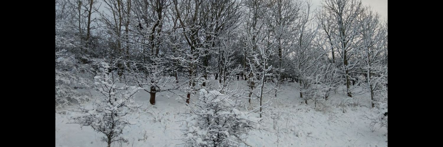 Andydjc's profile banner image