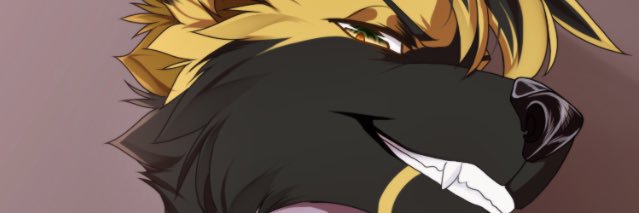 mud banner