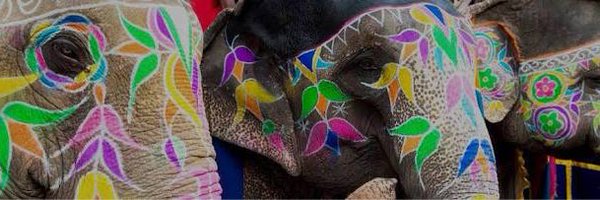 Csalotra Profile Banner