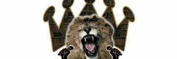 503LION's profile banner image