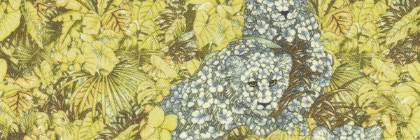 fionasherwin Profile Banner